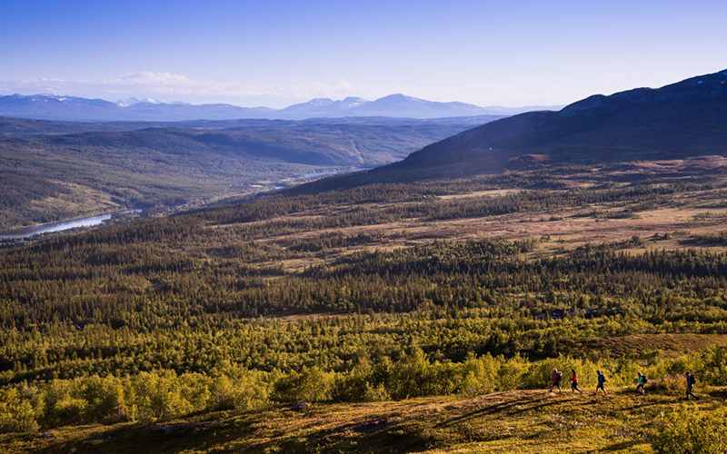 Buustamoons Fjällgård