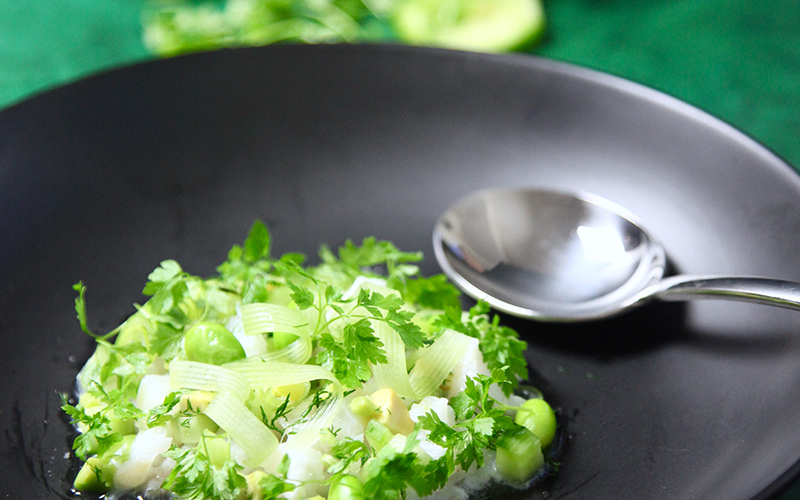 Ceviche - Catarina König